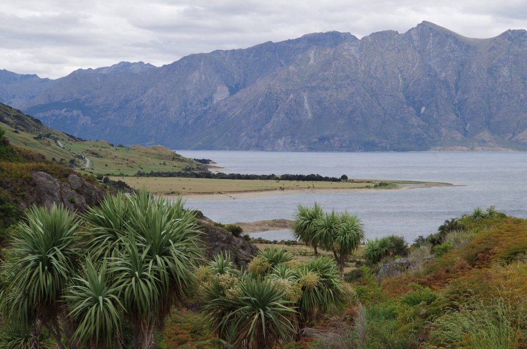 lake_hawea